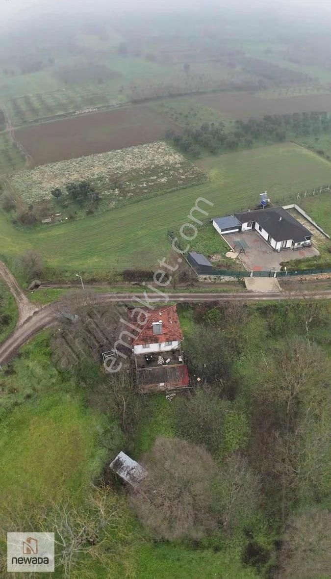 Sakarya Pamukova Gökgöz'de Köy Merkezinde 1240m2 Tarla - Görsel 10