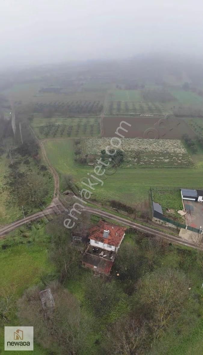 Sakarya Pamukova Gökgöz'de Köy Merkezinde 1240m2 Tarla - Görsel 13