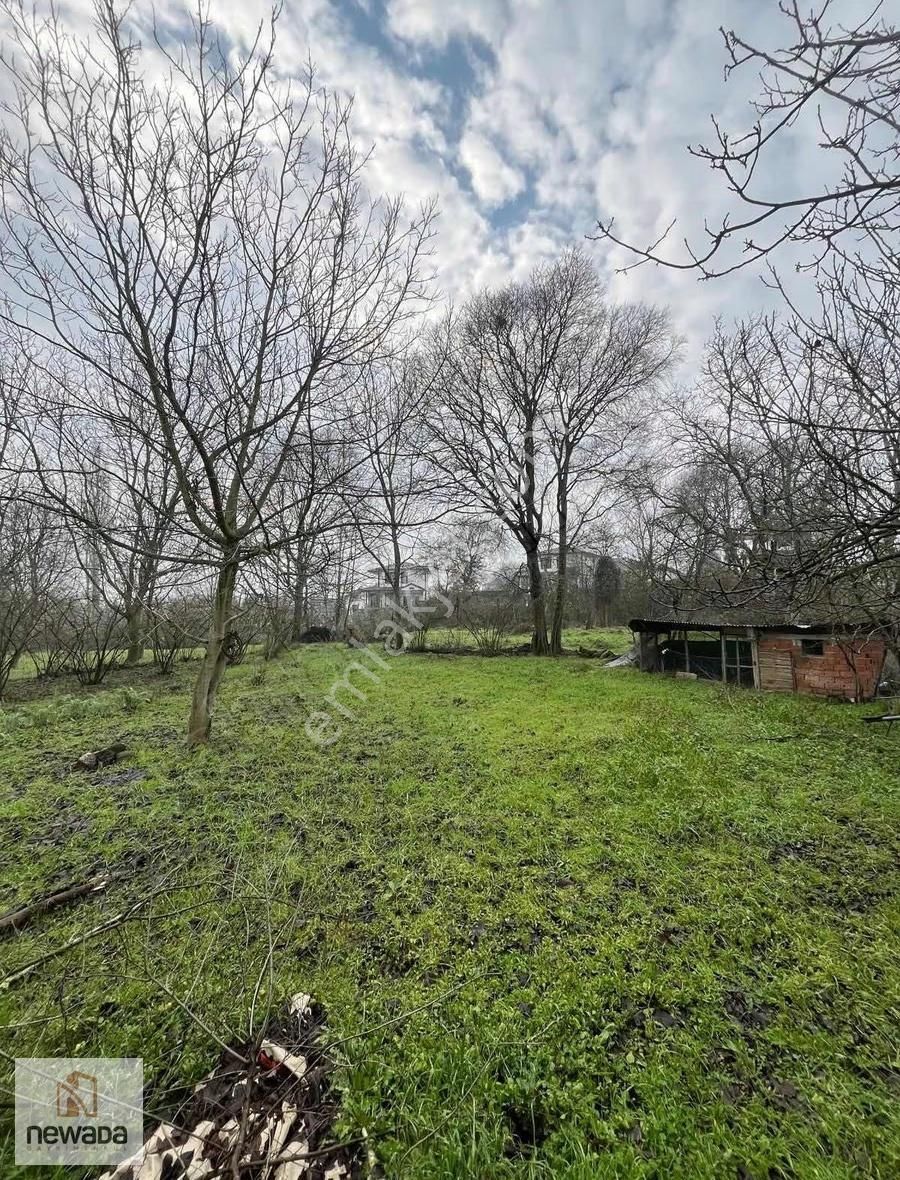 Sakarya Pamukova Gökgöz'de Köy Merkezinde 1240m2 Tarla - Görsel 21