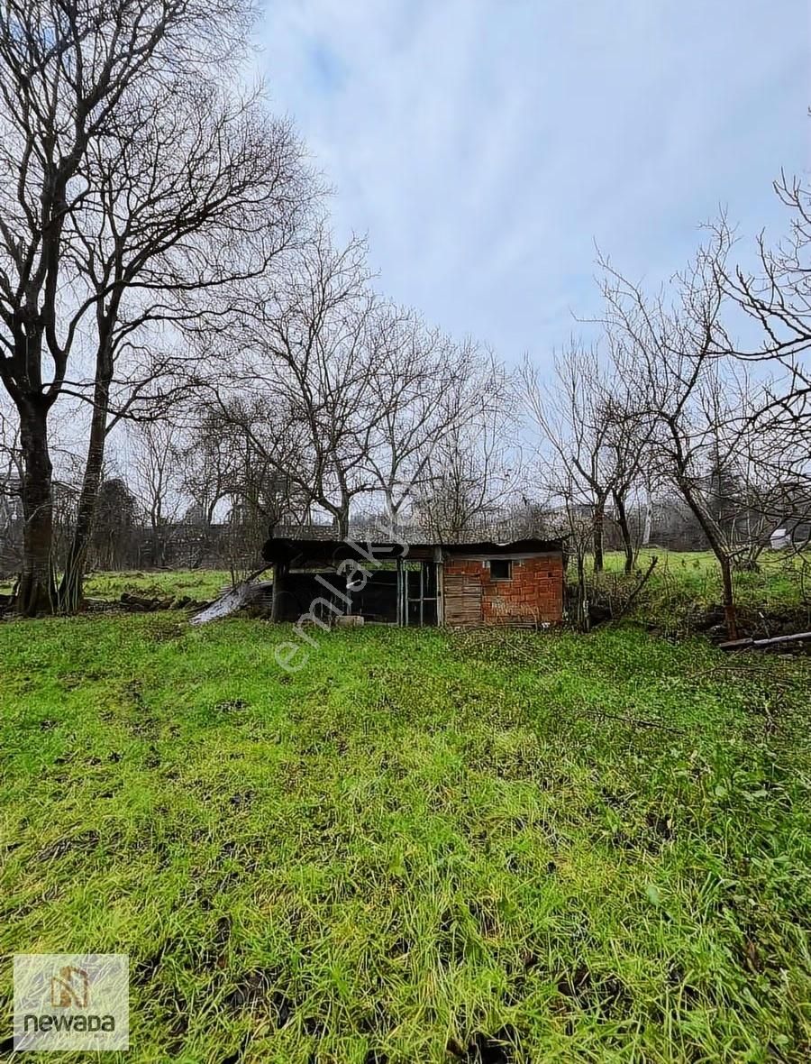 Sakarya Pamukova Gökgöz'de Köy Merkezinde 1240m2 Tarla - Görsel 22