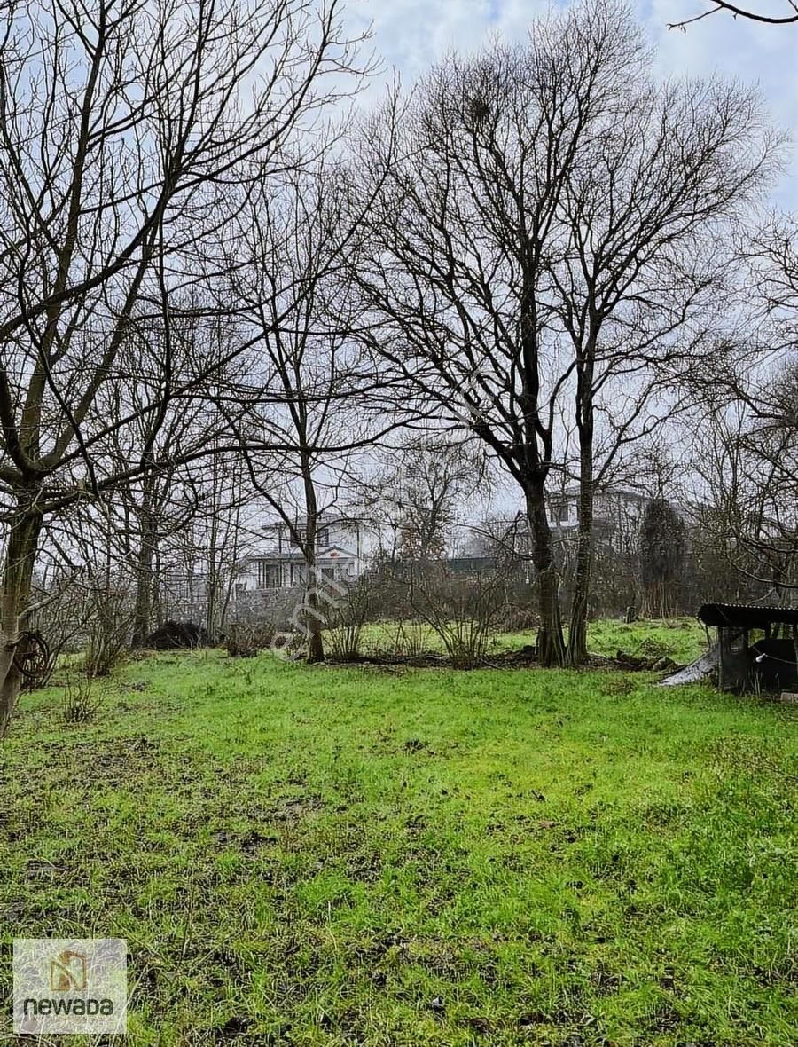 Sakarya Pamukova Gökgöz'de Köy Merkezinde 1240m2 Tarla - Görsel 12