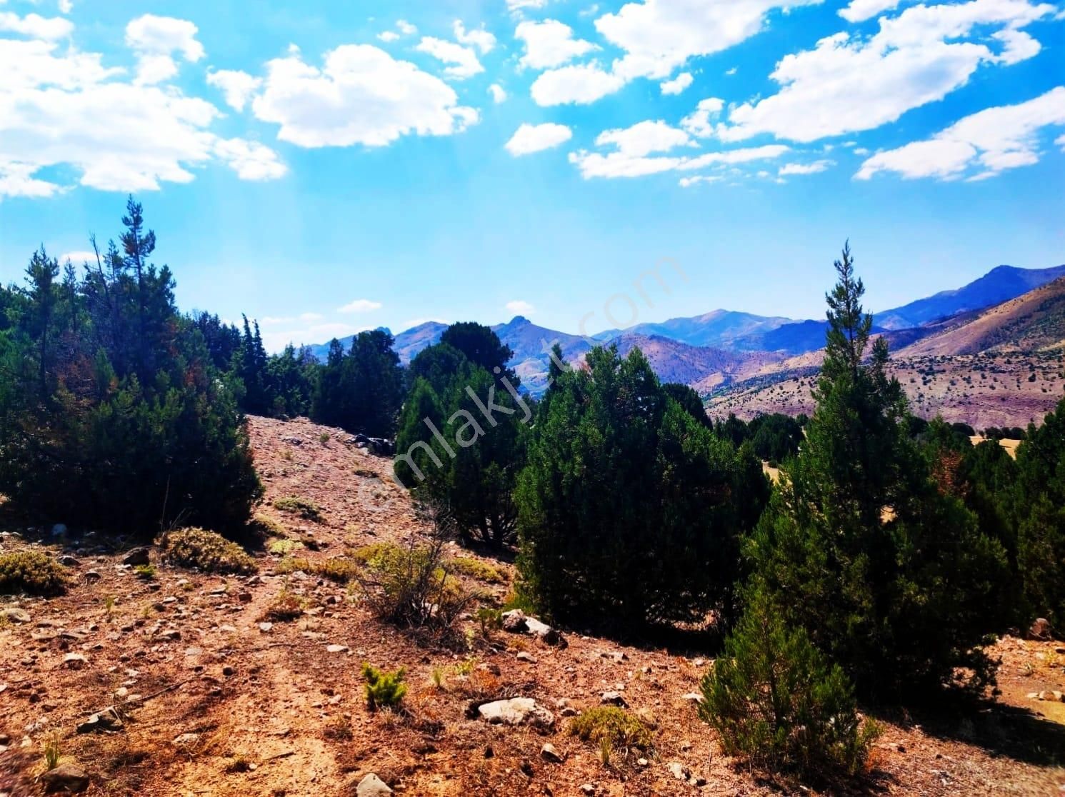 Kar Emlaktan Aşçı Bekirli Fenese Mevkiinde 400 M2 Satılık Arsa - Görsel 18