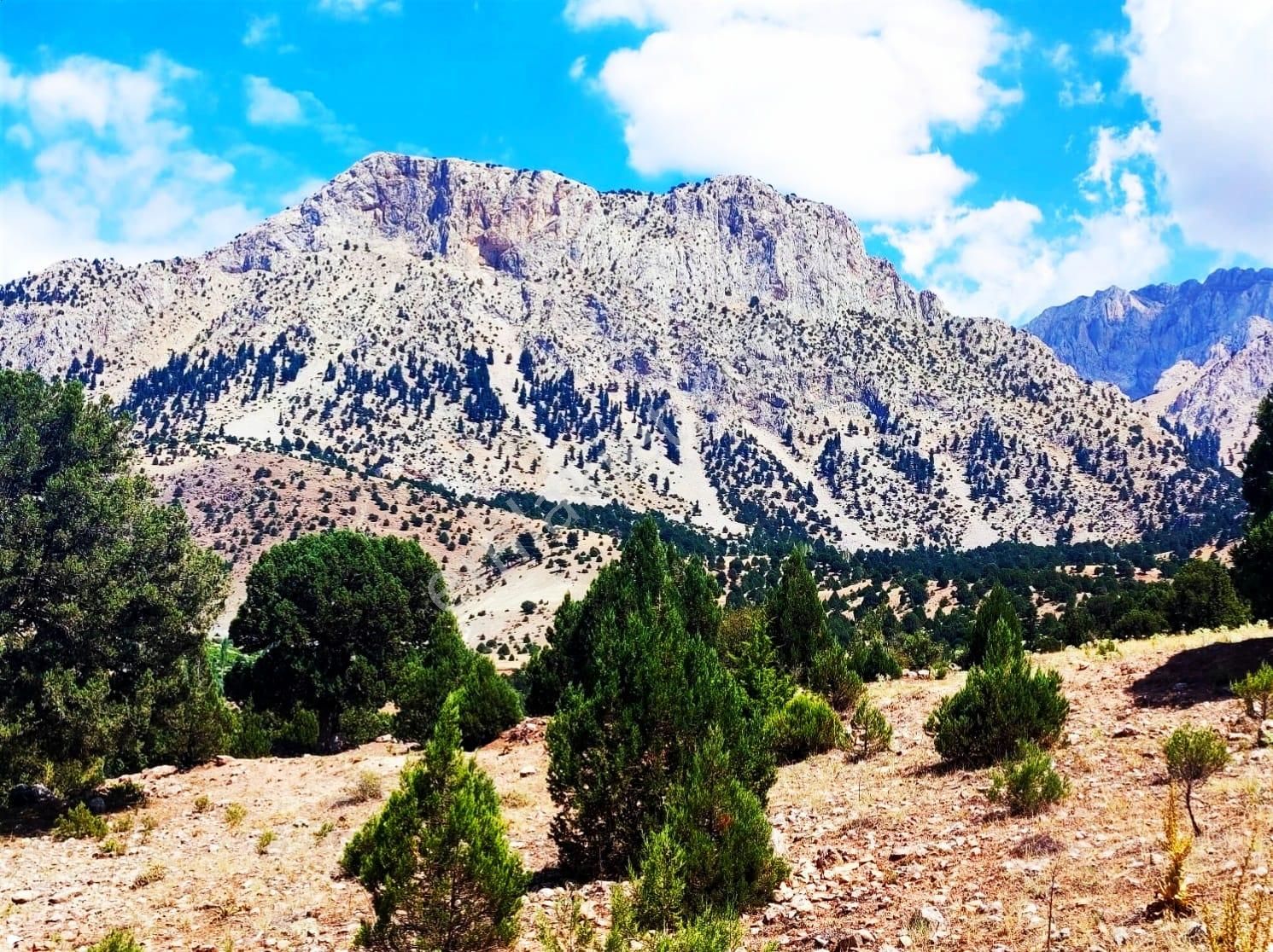 Kar Emlaktan Aşçı Bekirli Fenese Mevkiinde 400 M2 Satılık Arsa - Görsel 24