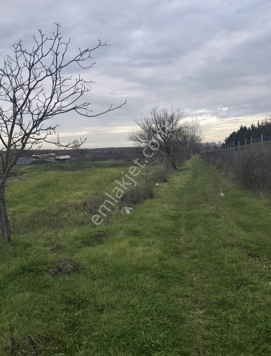 Efem Gayrimenkul,den Yolçatı Tek Tapu Satılık Tarla - Görsel 7