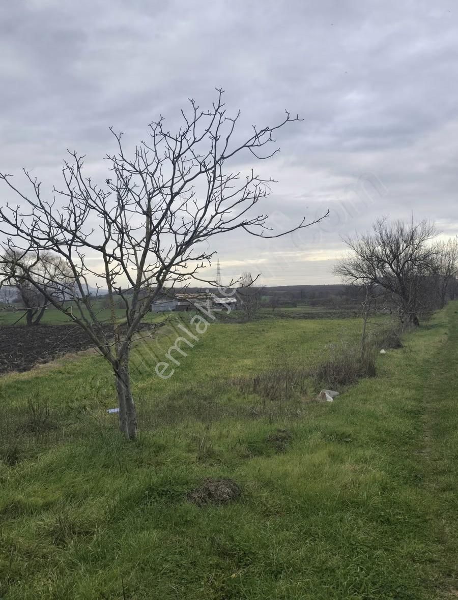 Efem Gayrimenkul,den Yolçatı Tek Tapu Satılık Tarla - Görsel 5