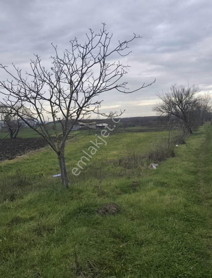 Efem Gayrimenkul,den Yolçatı Tek Tapu Satılık Tarla - Görsel 6