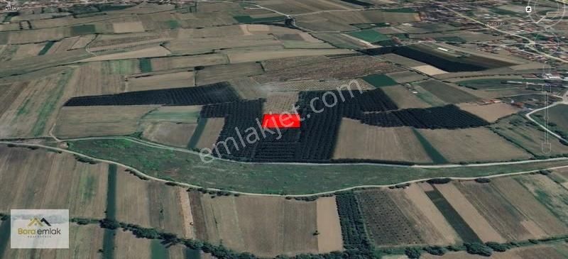 Bora Emlak'dan Uzunçınar Mahallesi'nde Satılık Arsa - Görsel 5