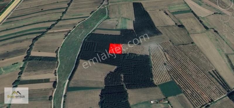 Bora Emlak'dan Uzunçınar Mahallesi'nde Satılık Arsa