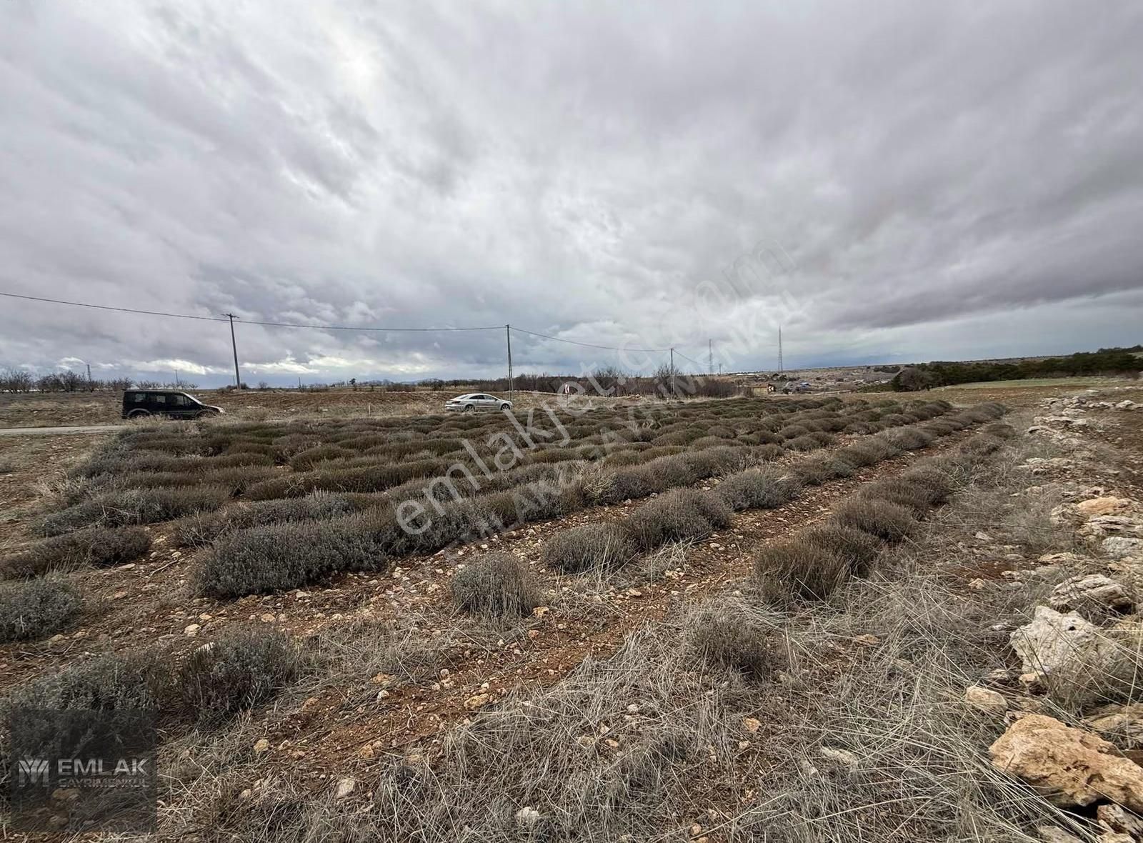 My Emlak&gayrimenkulden Sevindikte Satılık Arazi