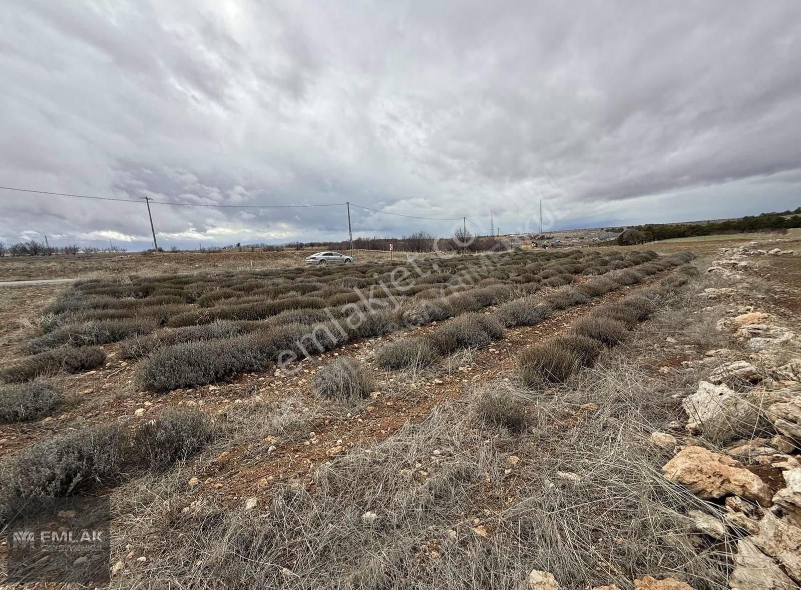 My Emlak&gayrimenkulden Sevindikte Satılık Arazi - Görsel 3