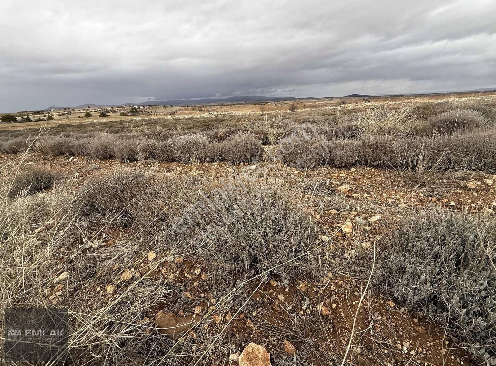 My Emlak&gayrimenkulden Sevindikte Satılık Arazi - Görsel 4