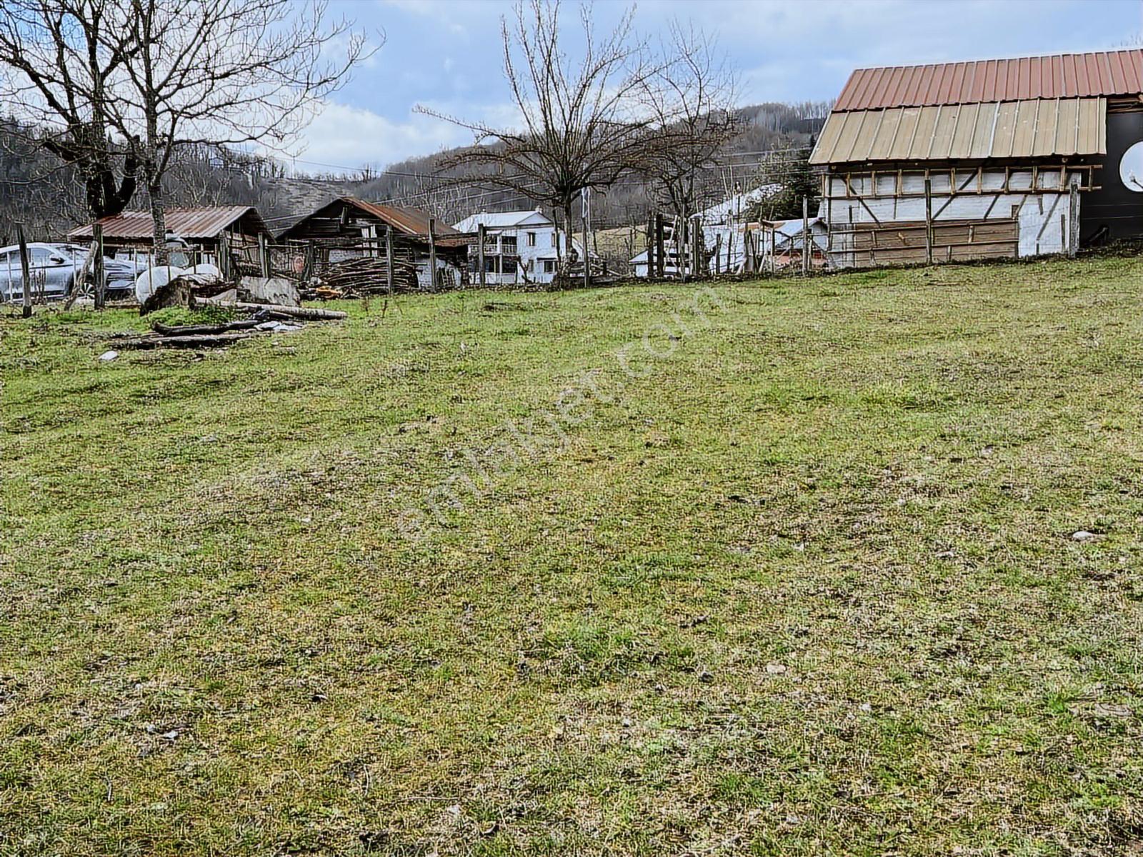 Ruşen Aydın Gyd'dan Kaynaşlı Dipsizgöl Köyünde Satılık Arsa - Görsel 13