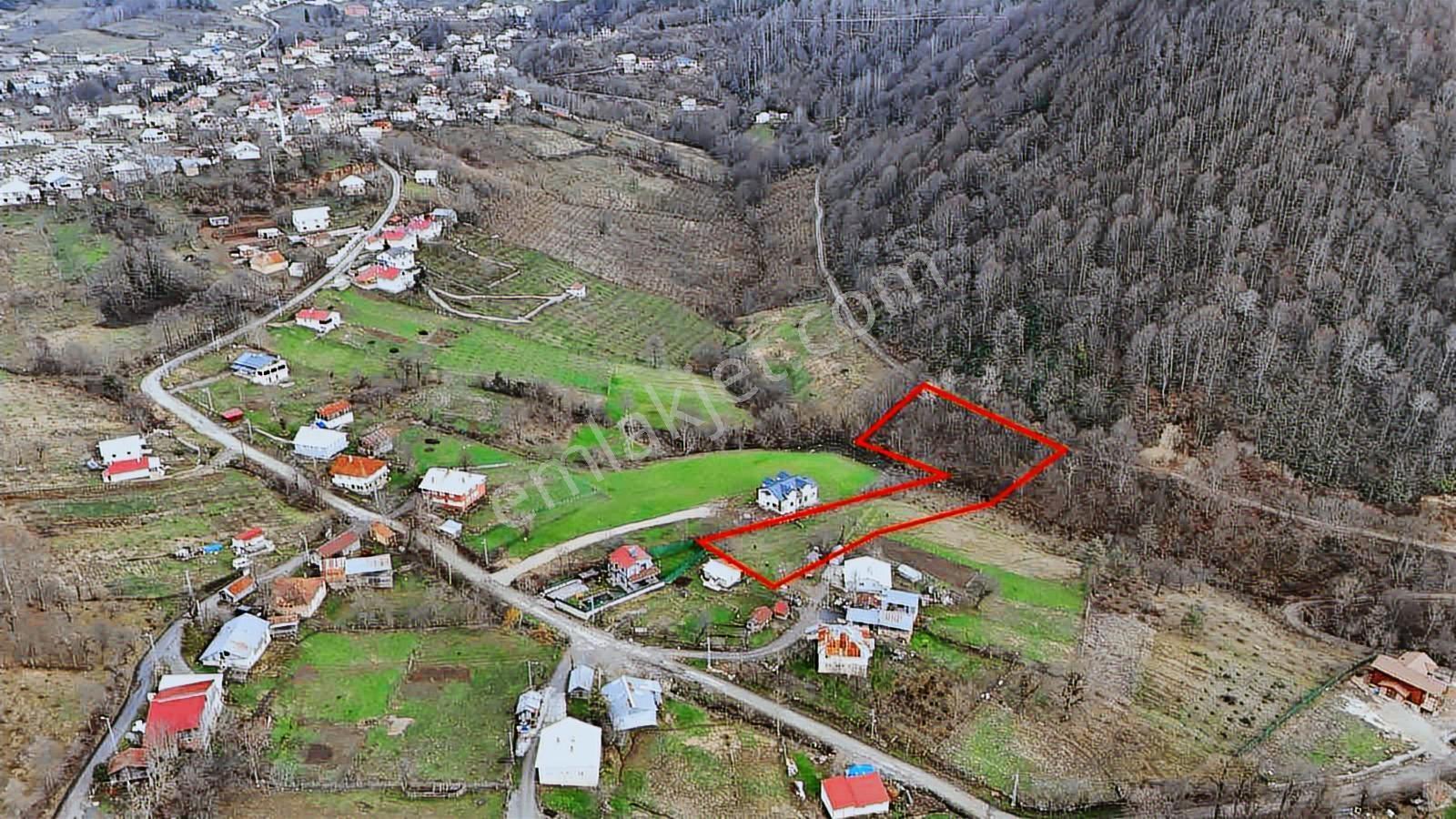 Ruşen Aydın Gyd'dan Kaynaşlı Dipsizgöl Köyünde Satılık Arsa - Görsel 4