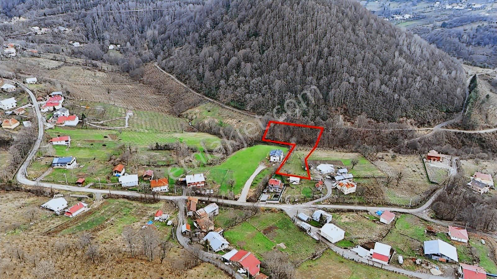 Ruşen Aydın Gyd'dan Kaynaşlı Dipsizgöl Köyünde Satılık Arsa - Görsel 33