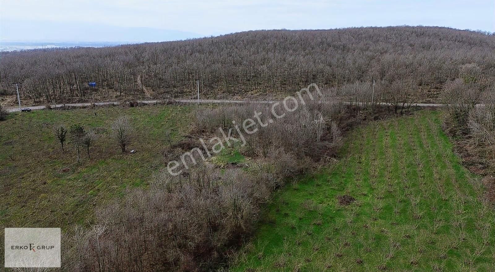 Erko Grup Gayrimenkul Den Şeyhler Mh De Satılık Tarla - Görsel 14