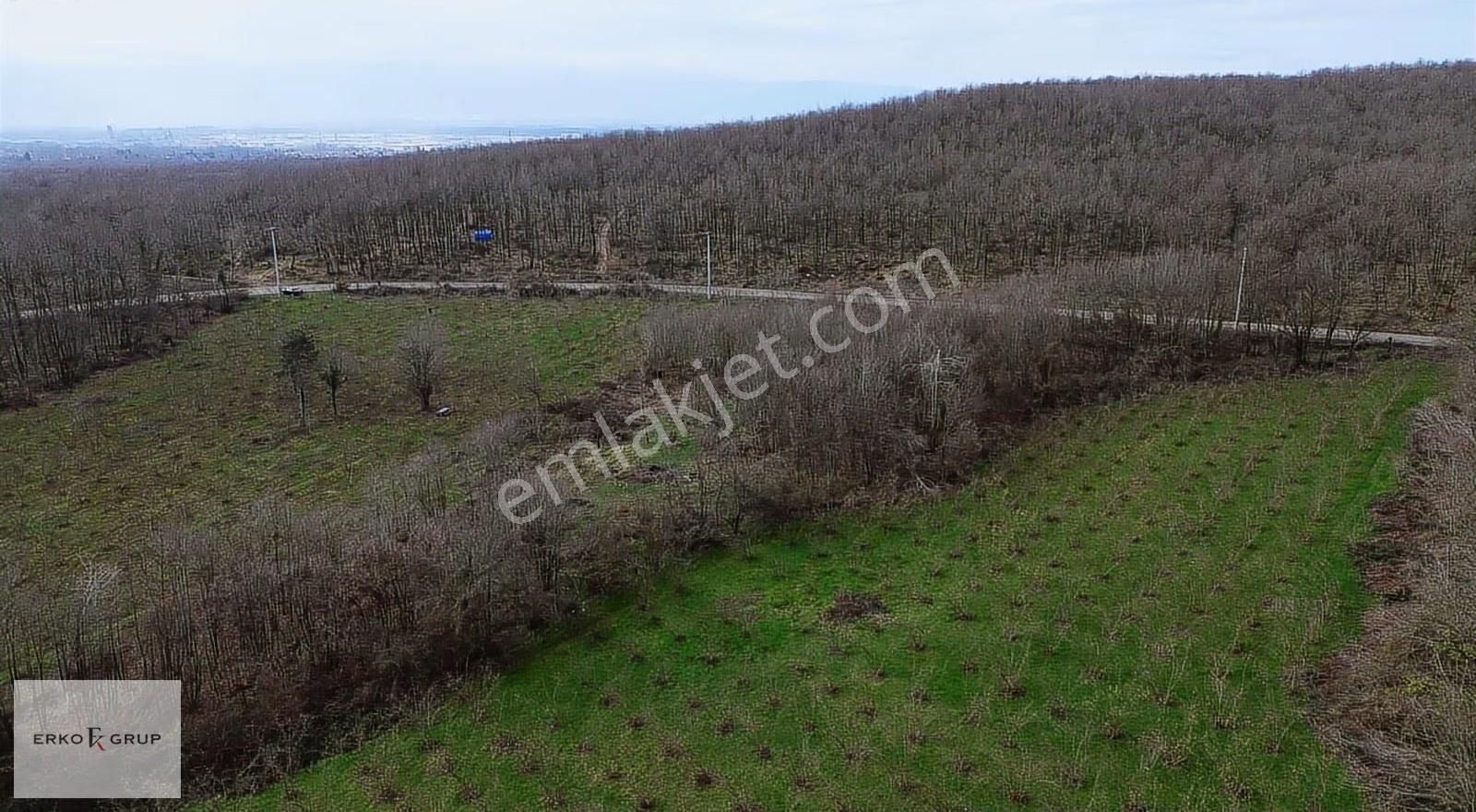 Erko Grup Gayrimenkul Den Şeyhler Mh De Satılık Tarla - Görsel 5