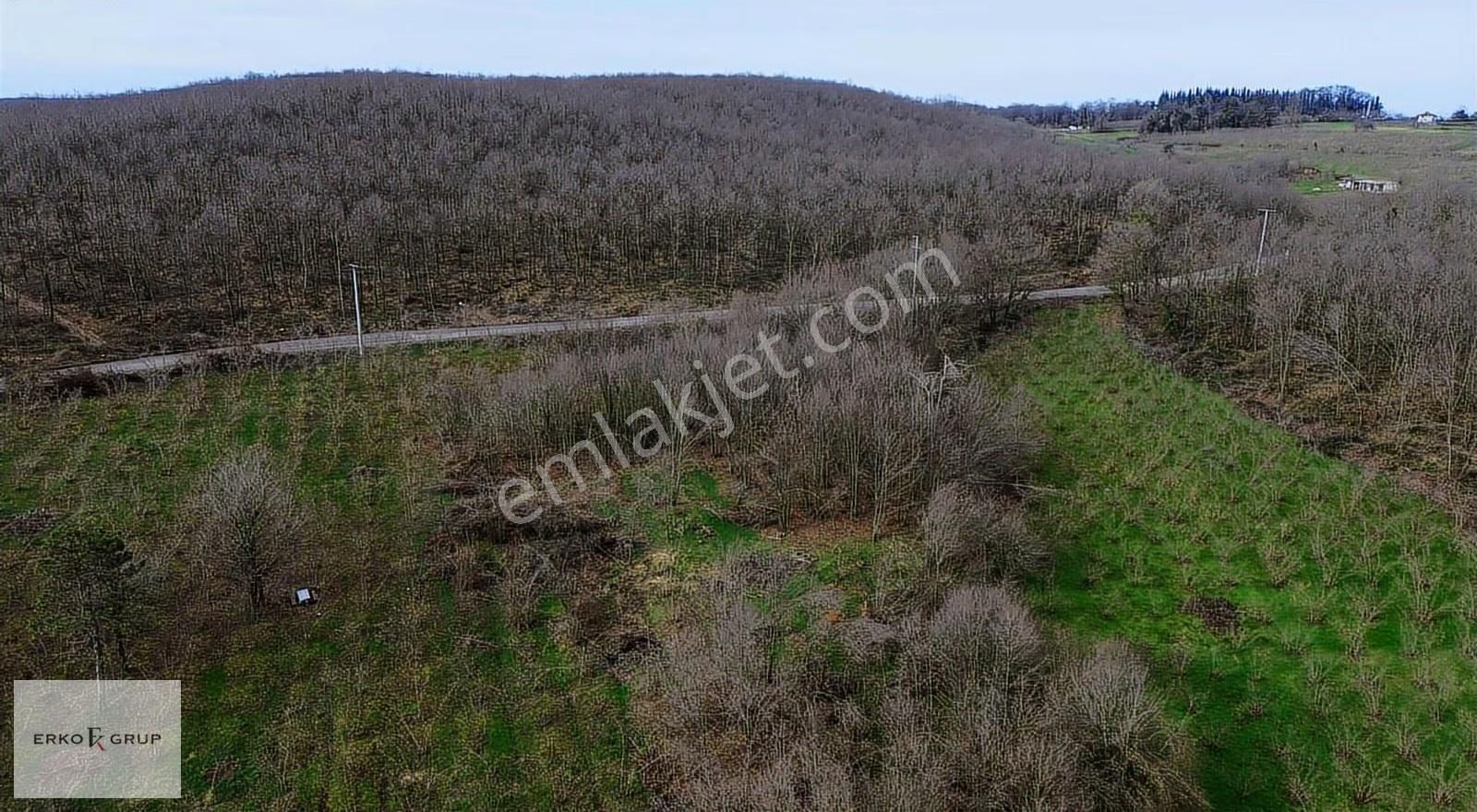 Erko Grup Gayrimenkul Den Şeyhler Mh De Satılık Tarla - Görsel 18