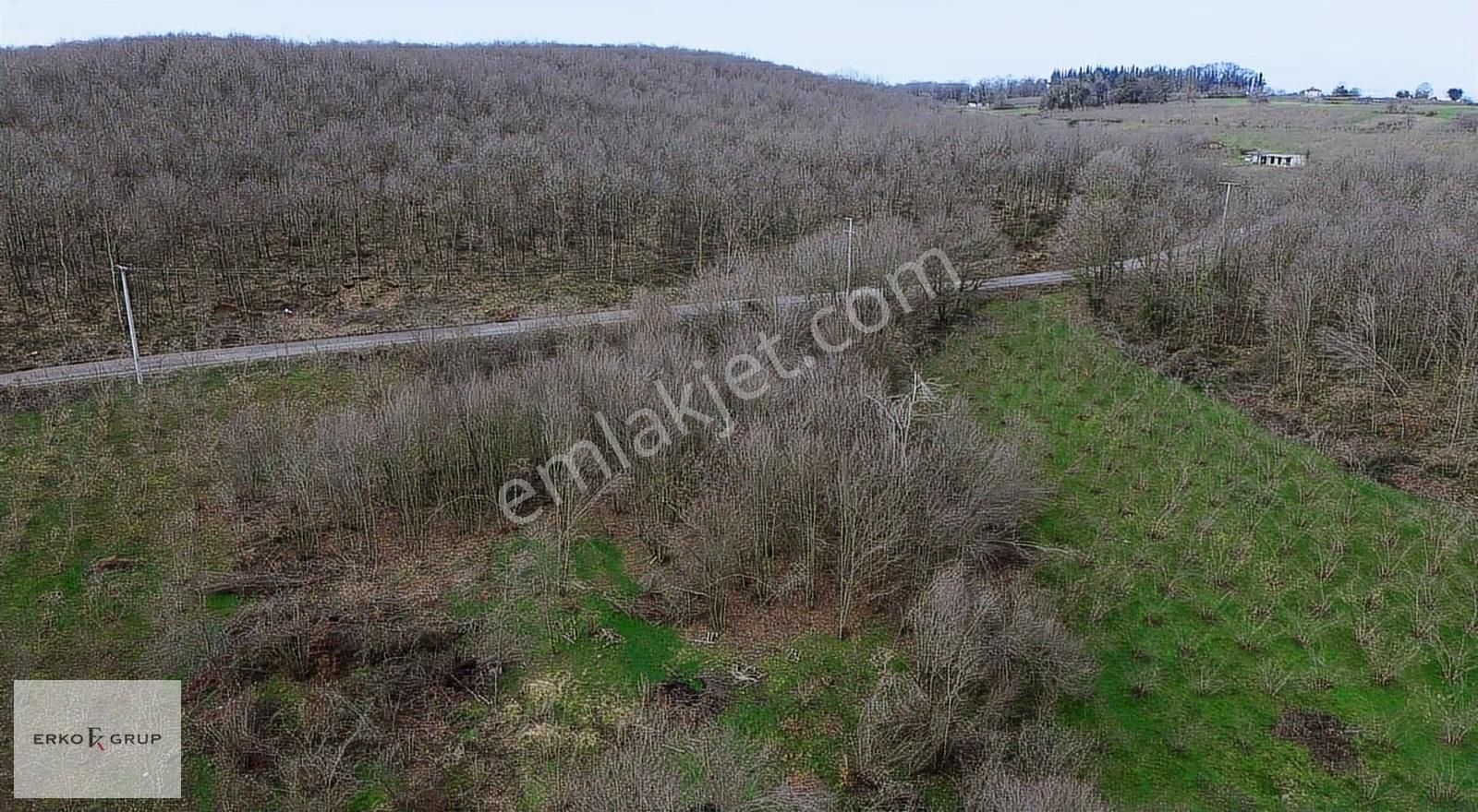 Erko Grup Gayrimenkul Den Şeyhler Mh De Satılık Tarla - Görsel 6