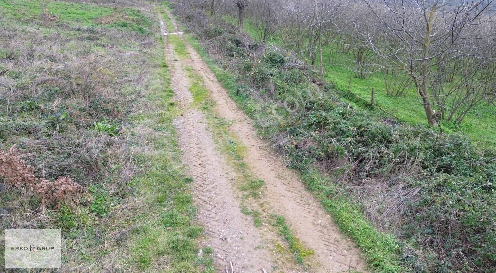 Erko Grup Gayrimenkulden Hendek Şeyhler Mh Satılık Tarla. - Görsel 15