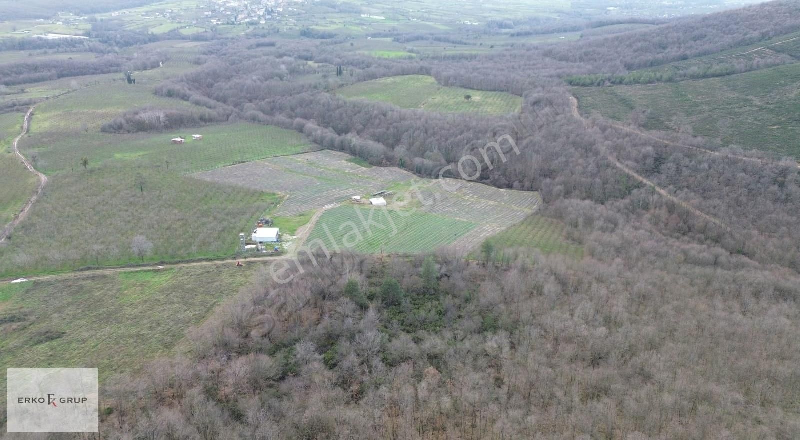 Erko Grup Gayrimenkulden Hendek Şeyhler Mh Satılık Tarla. - Görsel 2