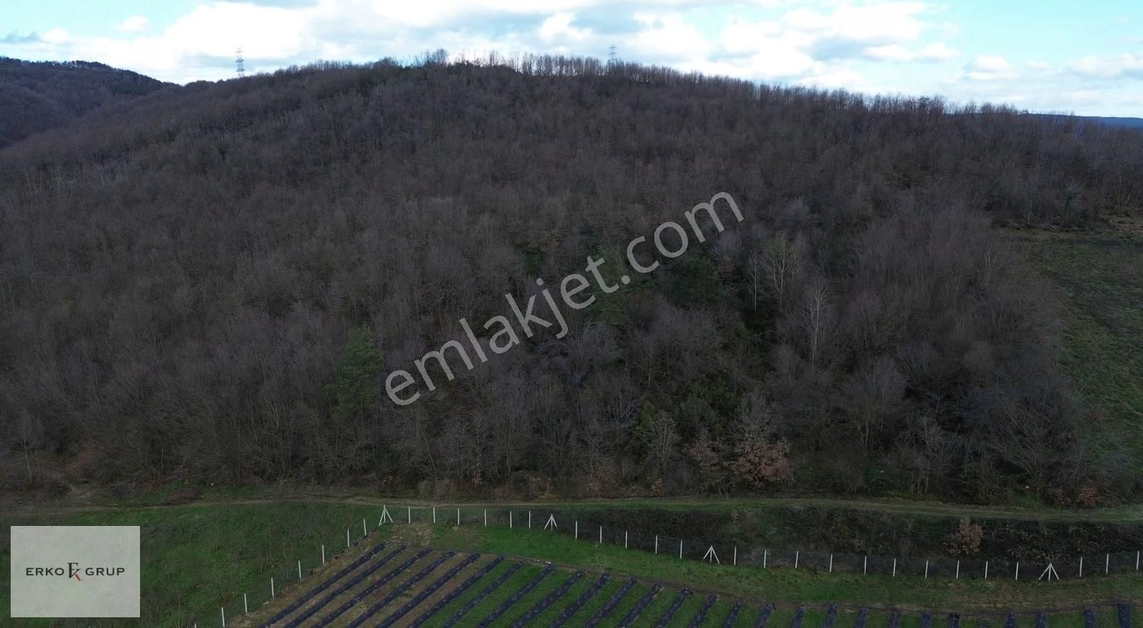 Erko Grup Gayrimenkulden Hendek Şeyhler Mh Satılık Tarla. - Görsel 4