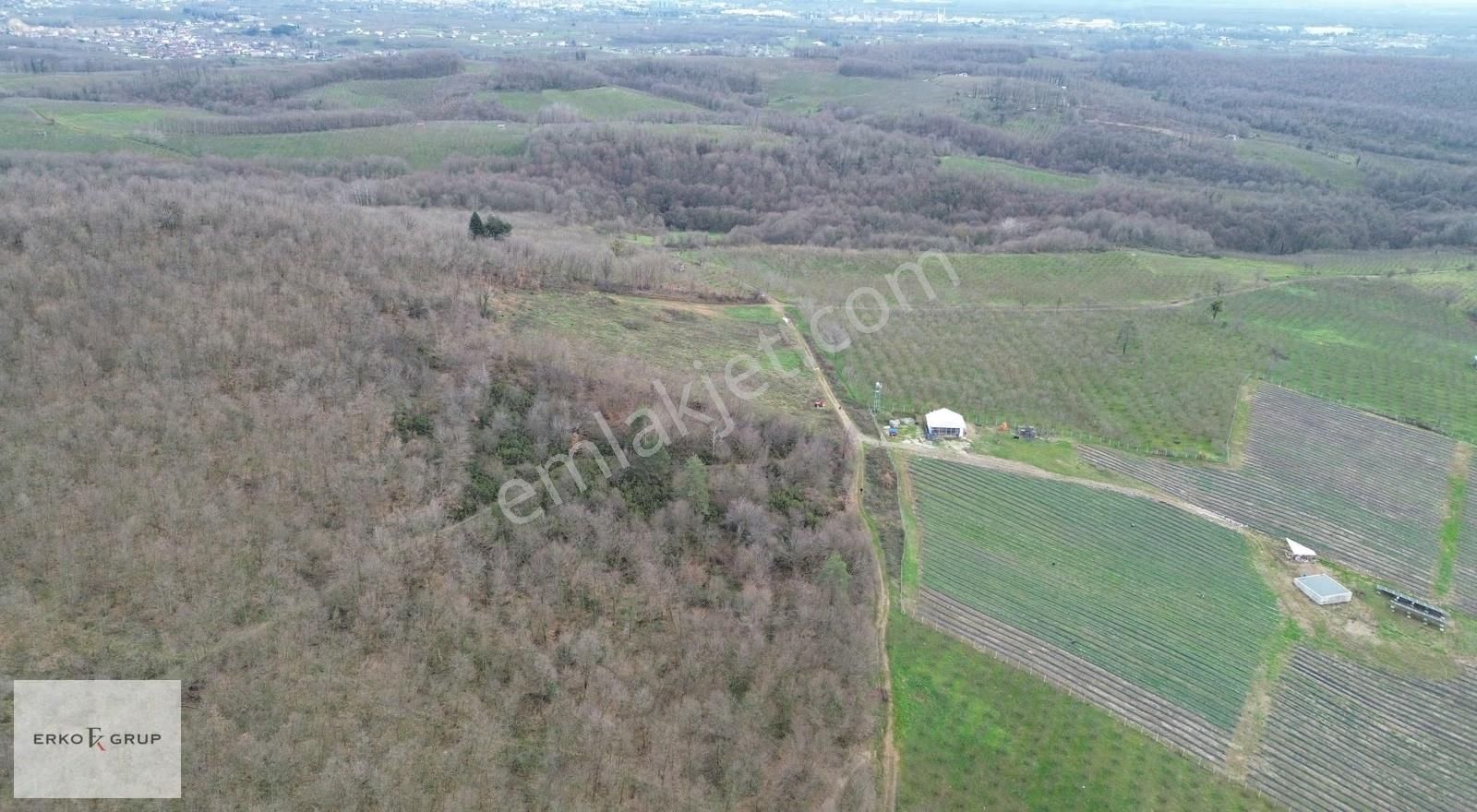 Erko Grup Gayrimenkulden Hendek Şeyhler Mh Satılık Tarla. - Görsel 20
