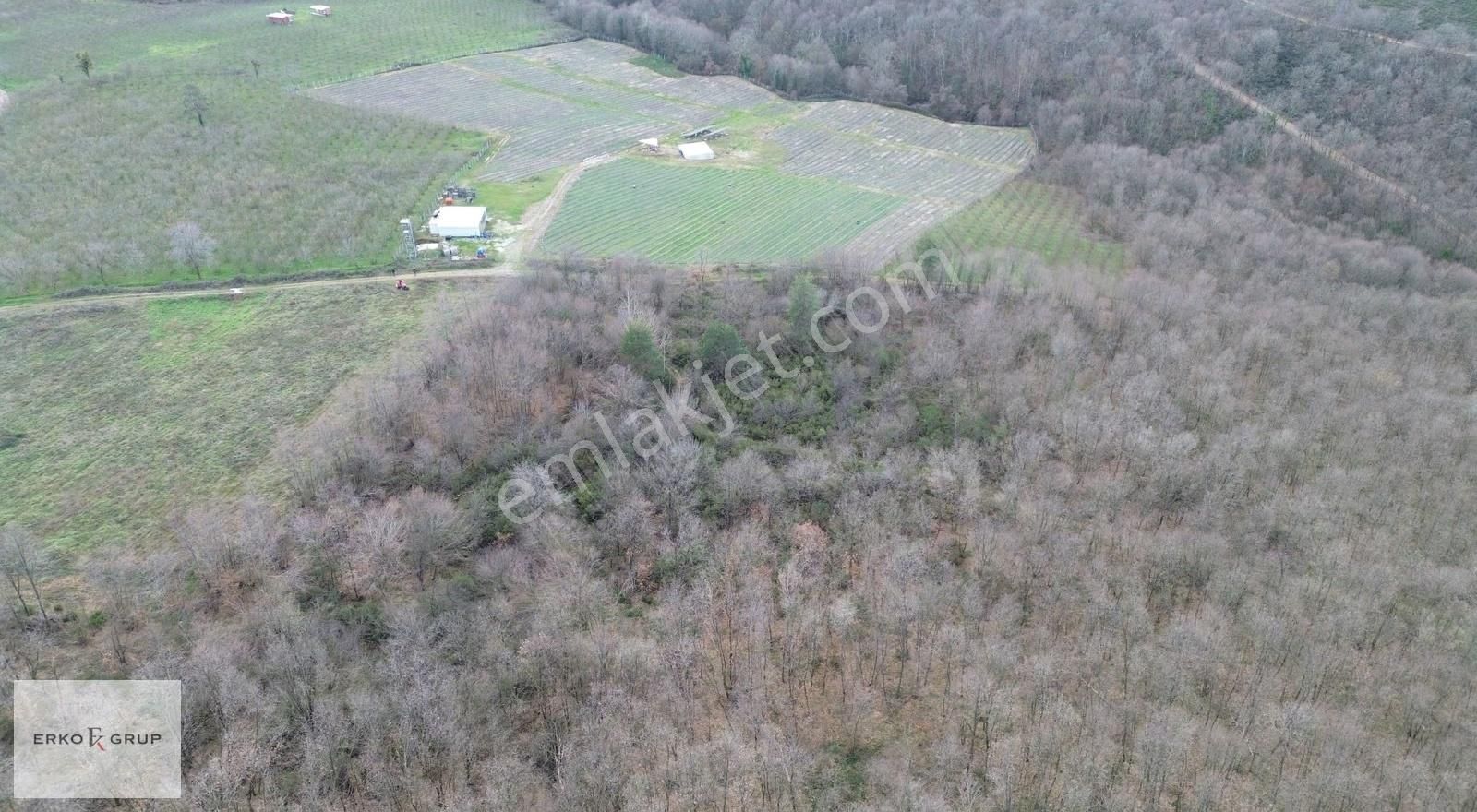 Erko Grup Gayrimenkulden Hendek Şeyhler Mh Satılık Tarla. - Görsel 5