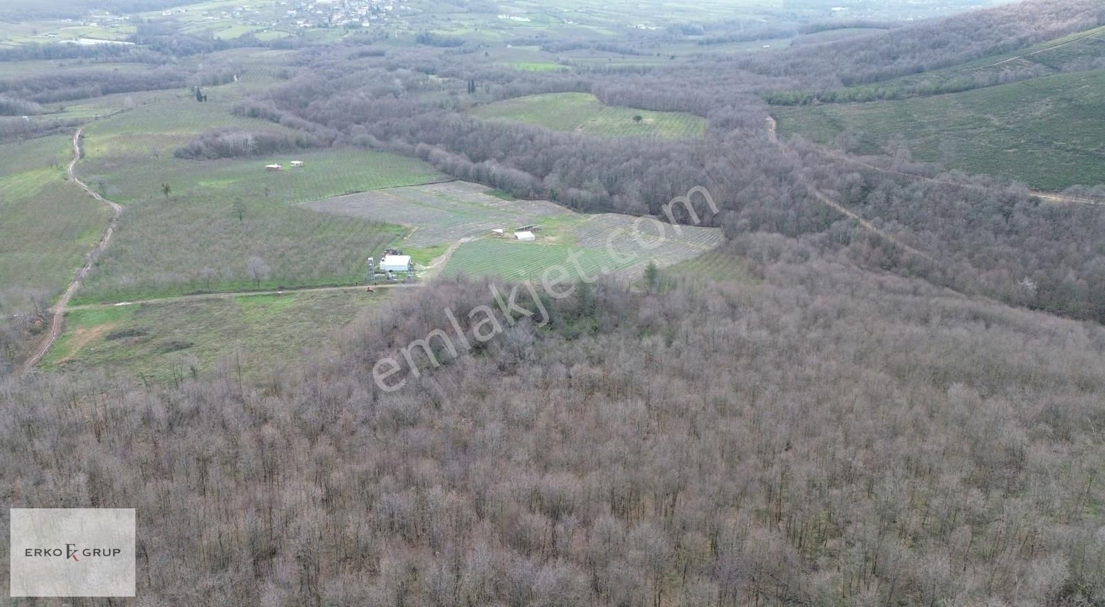 Erko Grup Gayrimenkulden Hendek Şeyhler Mh Satılık Tarla. - Görsel 12