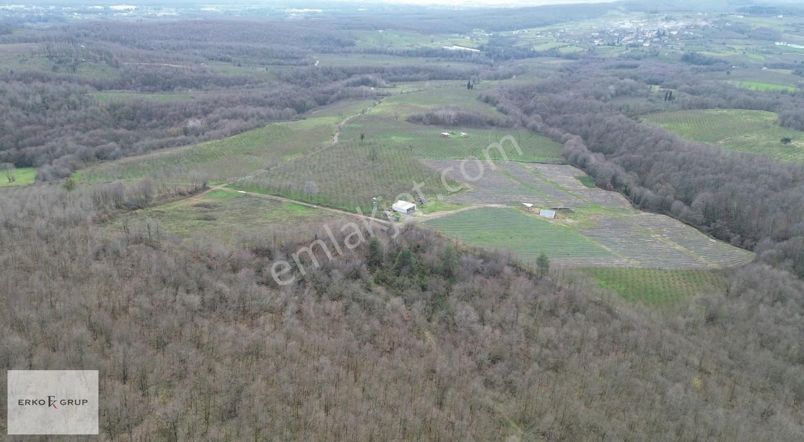 Erko Grup Gayrimenkulden Hendek Şeyhler Mh Satılık Tarla. - Görsel 7