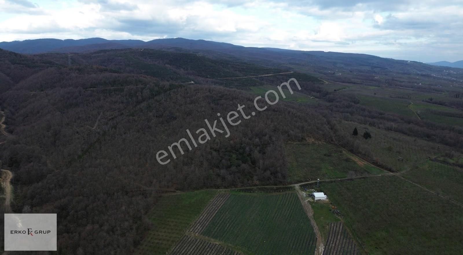 Erko Grup Gayrimenkulden Hendek Şeyhler Mh Satılık Tarla. - Görsel 17