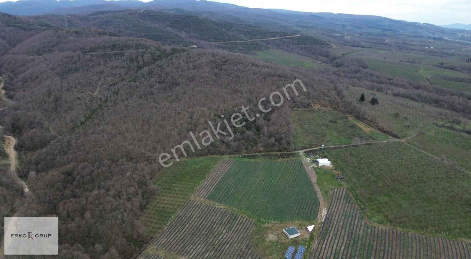 Erko Grup Gayrimenkulden Hendek Şeyhler Mh Satılık Tarla. - Görsel 3