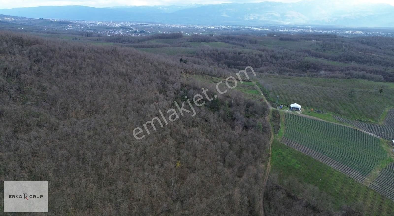 Erko Grup Gayrimenkulden Hendek Şeyhler Mh Satılık Tarla. - Görsel 16