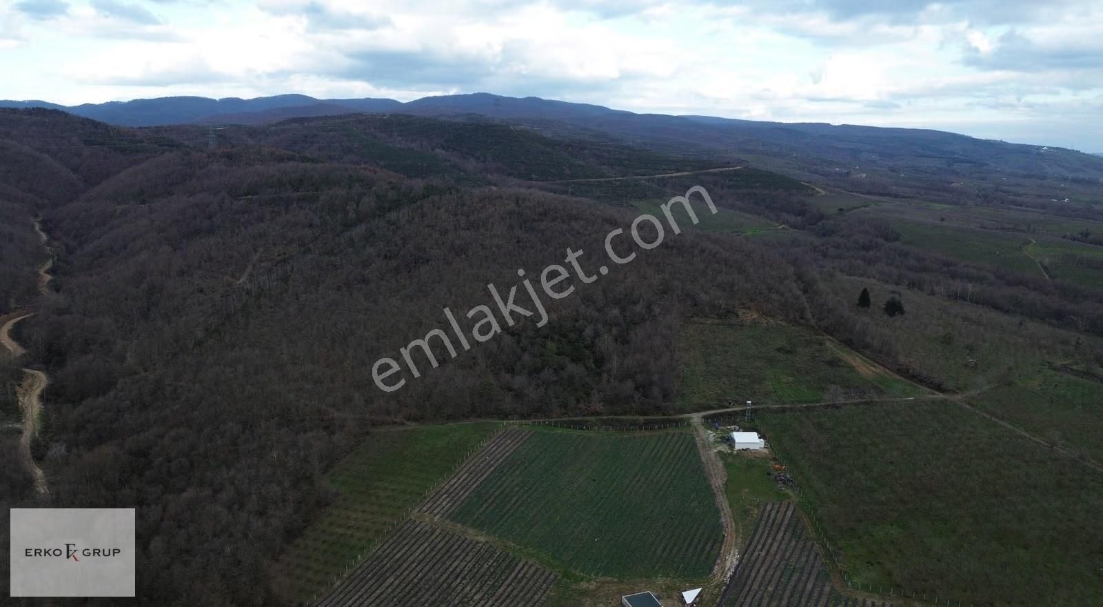 Erko Grup Gayrimenkulden Hendek Şeyhler Mh Satılık Tarla. - Görsel 10