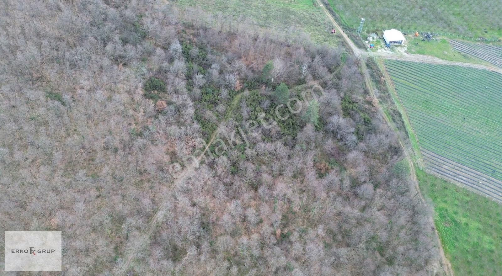 Erko Grup Gayrimenkulden Hendek Şeyhler Mh Satılık Tarla. - Görsel 8