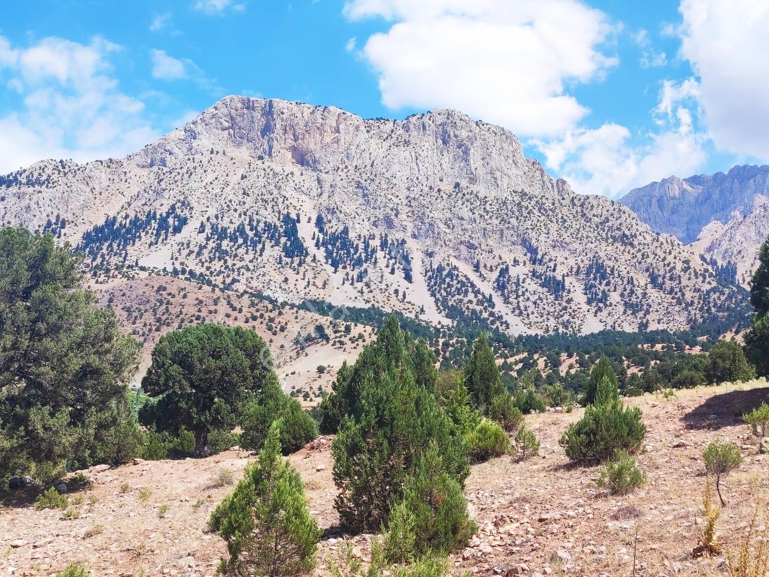 Kar Emlaktan Aşçı Bekirli Fenese Mevkiinde 450 M2 Satılık Arsa - Görsel 7