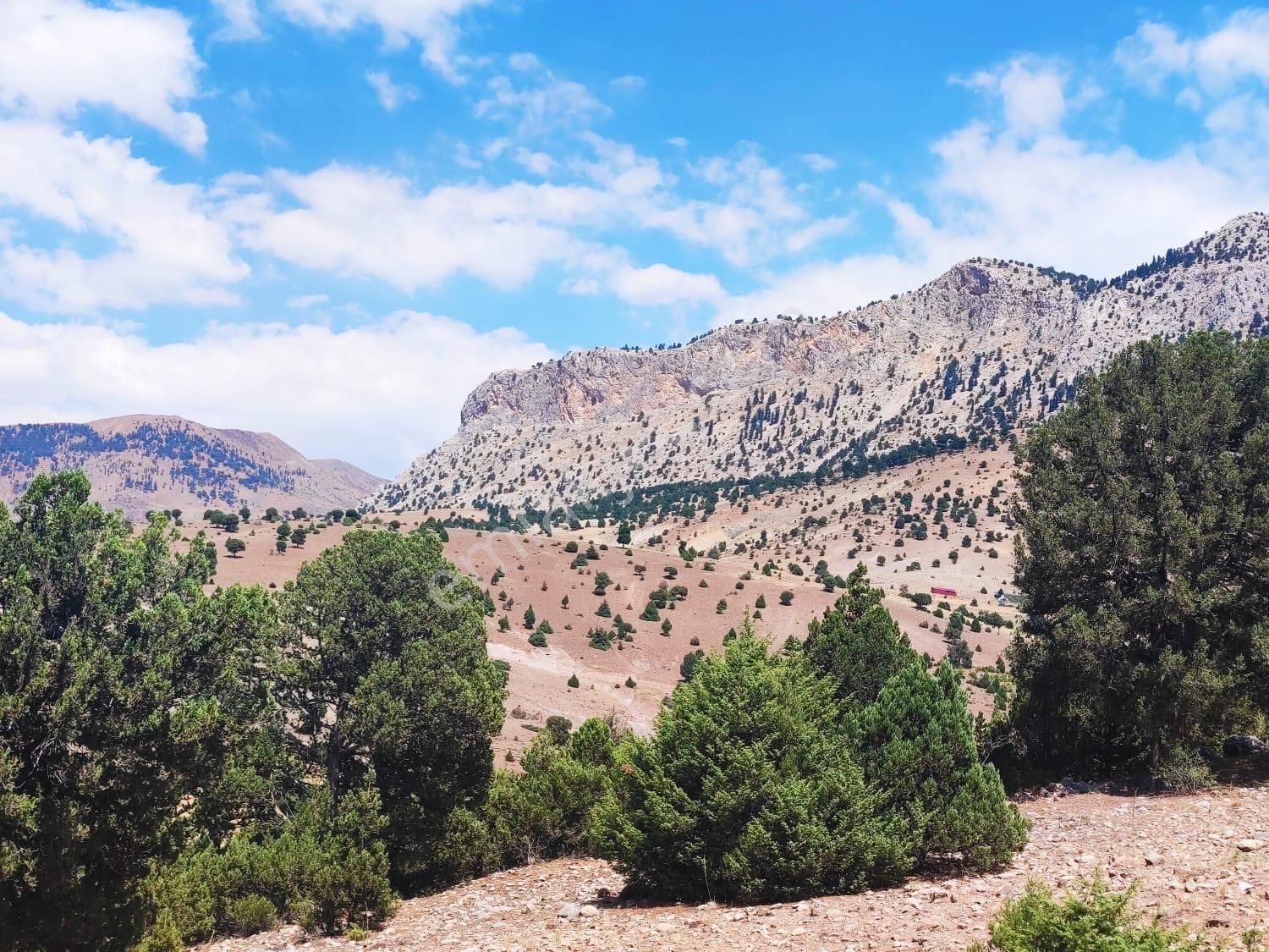 Kar Emlaktan Aşçı Bekirli Fenese Mevkiinde 450 M2 Satılık Arsa - Görsel 8