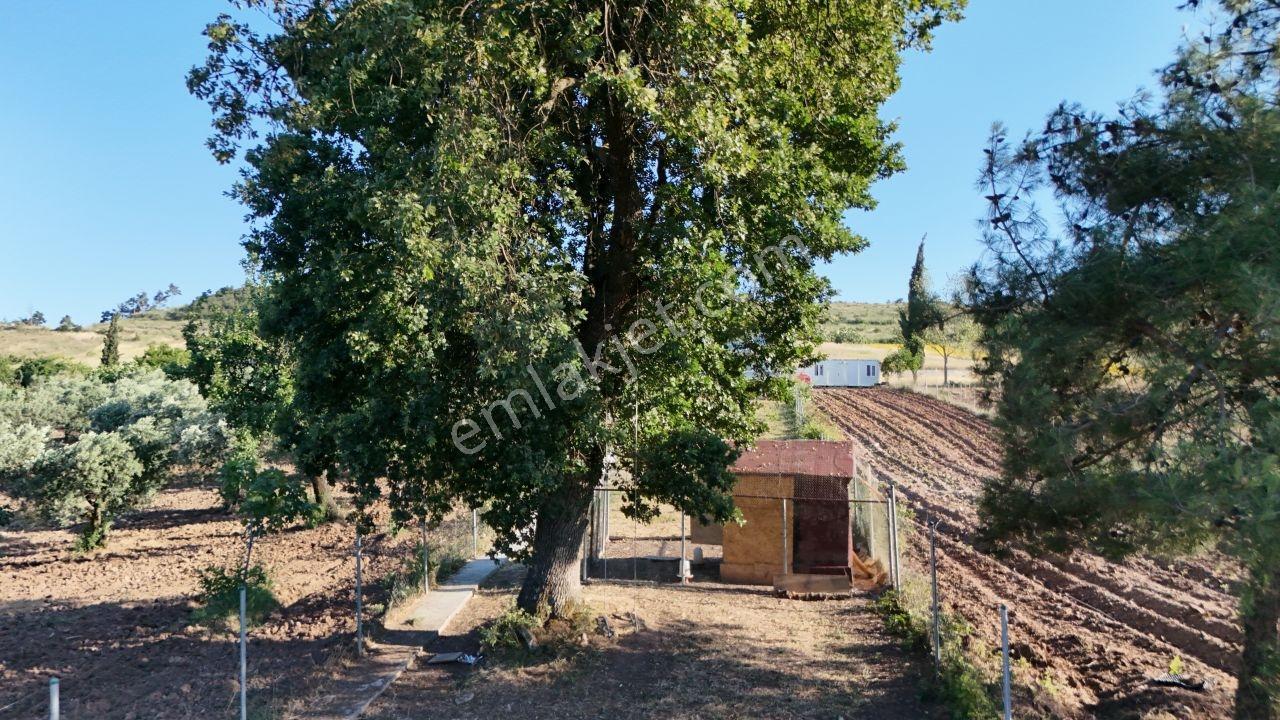 Dürdane Köyünde 948 M² Arsa İçinde Sıfır 2 Katlı Müstakil Ev - Görsel 33