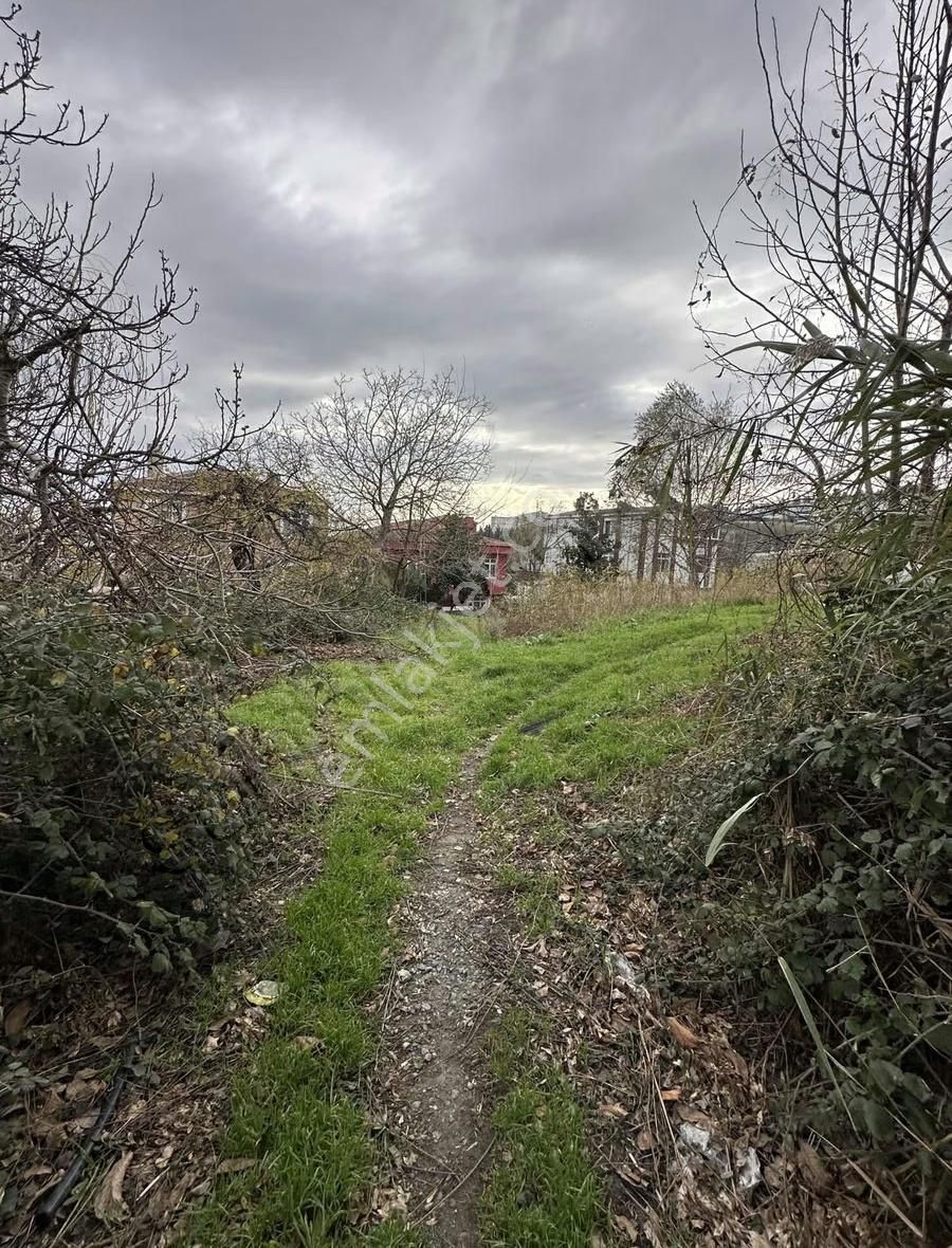 Fürüzköyde Deniz Göl Manzaralı Satılık Tarla 1330 M - Görsel 11