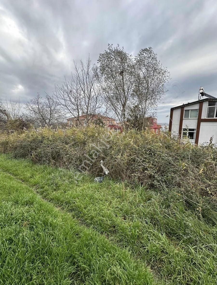 Fürüzköyde Deniz Göl Manzaralı Satılık Tarla 1330 M - Görsel 12