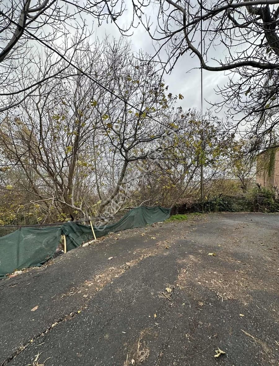 Fürüzköyde Deniz Göl Manzaralı Satılık Tarla 1330 M - Görsel 16