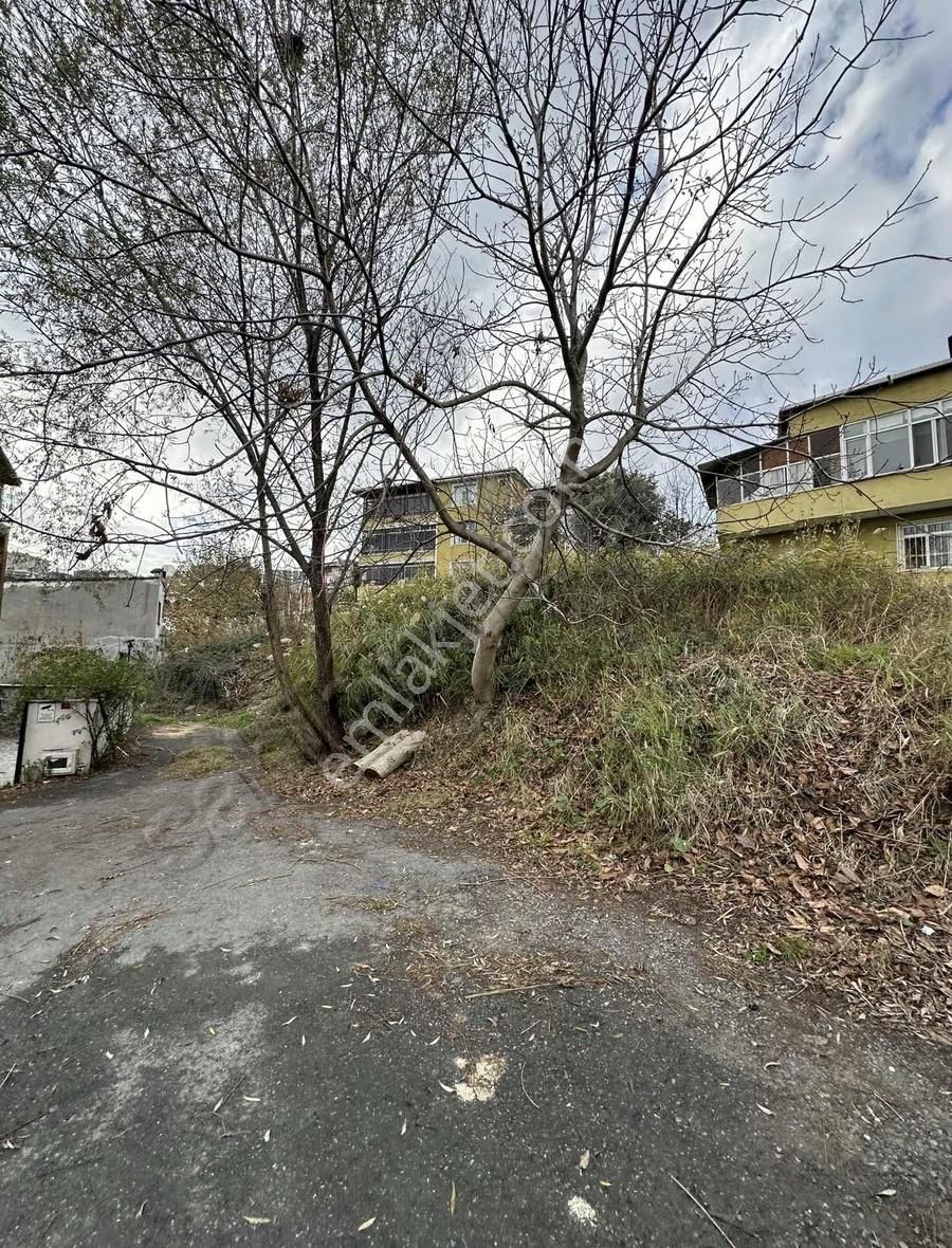 Fürüzköyde Deniz Göl Manzaralı Satılık Tarla 1330 M - Görsel 13