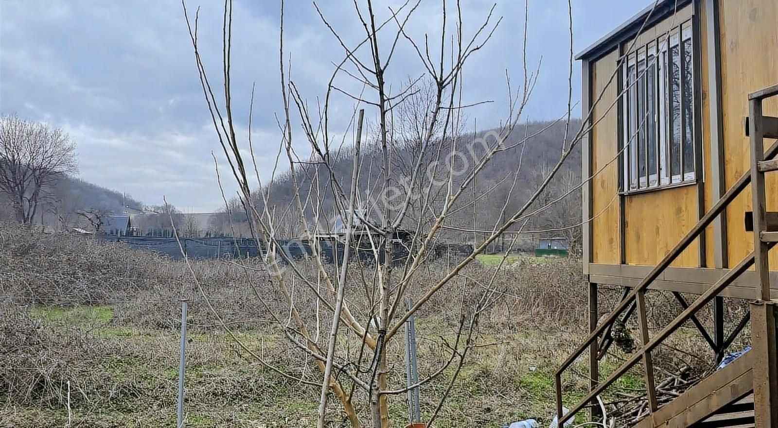 Gebze Denizli Köyünde Doğa İçersinde 230 M2 Konteynerlı Tarla