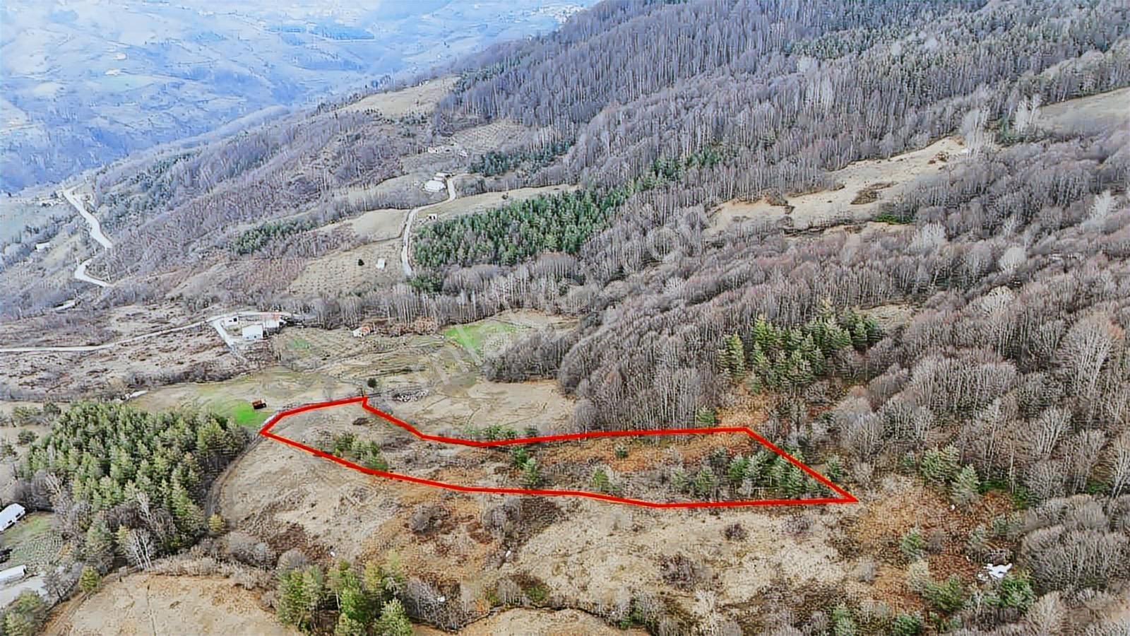 Ruşen Aydın Gyd'dan Kaynaşlı Hacı Azizler Köyünde Satılık Arazi - Görsel 12