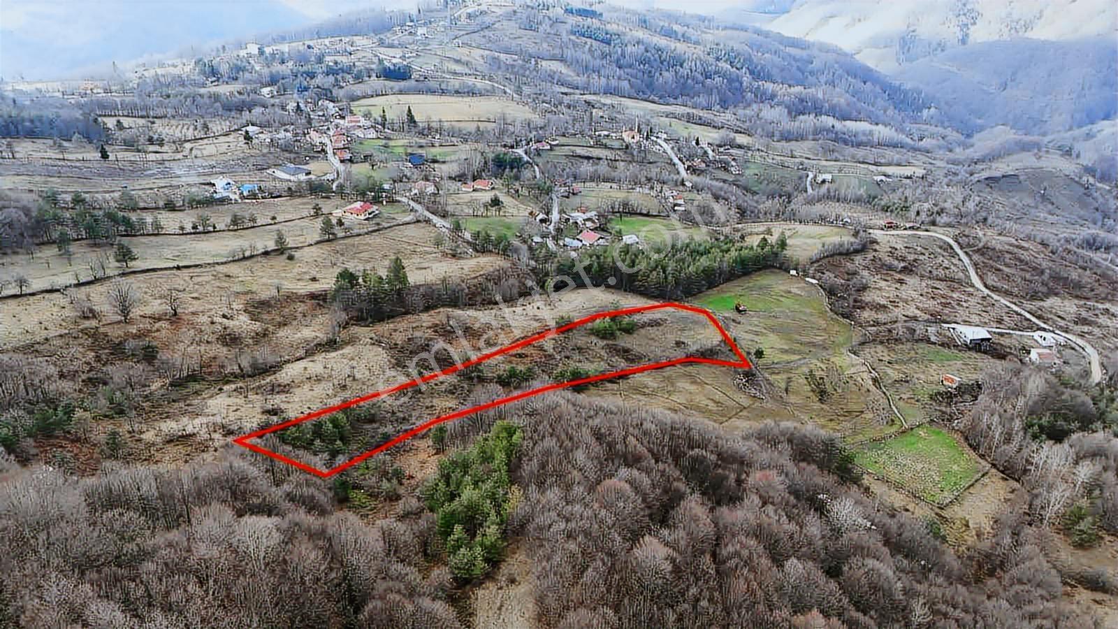 Ruşen Aydın Gyd'dan Kaynaşlı Hacı Azizler Köyünde Satılık Arazi - Görsel 16
