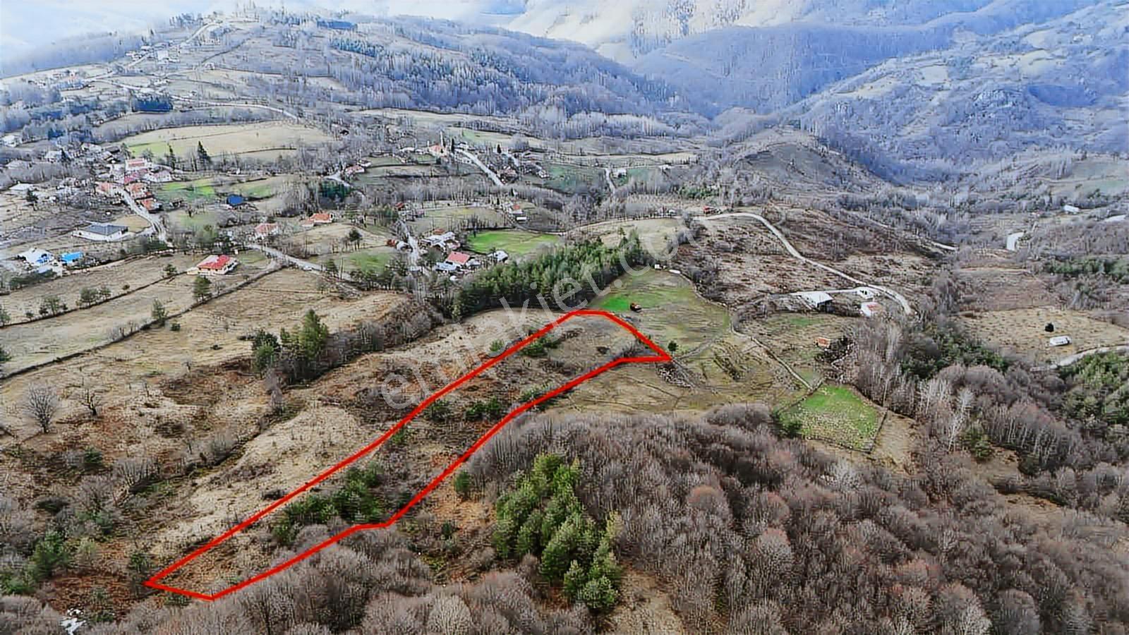 Ruşen Aydın Gyd'dan Kaynaşlı Hacı Azizler Köyünde Satılık Arazi - Görsel 13