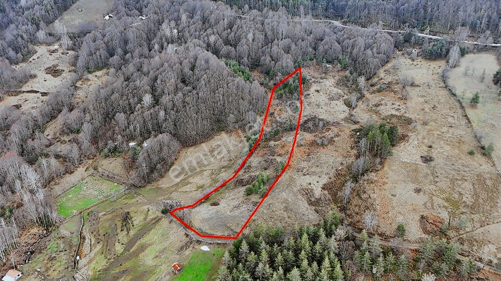 Ruşen Aydın Gyd'dan Kaynaşlı Hacı Azizler Köyünde Satılık Arazi - Görsel 23