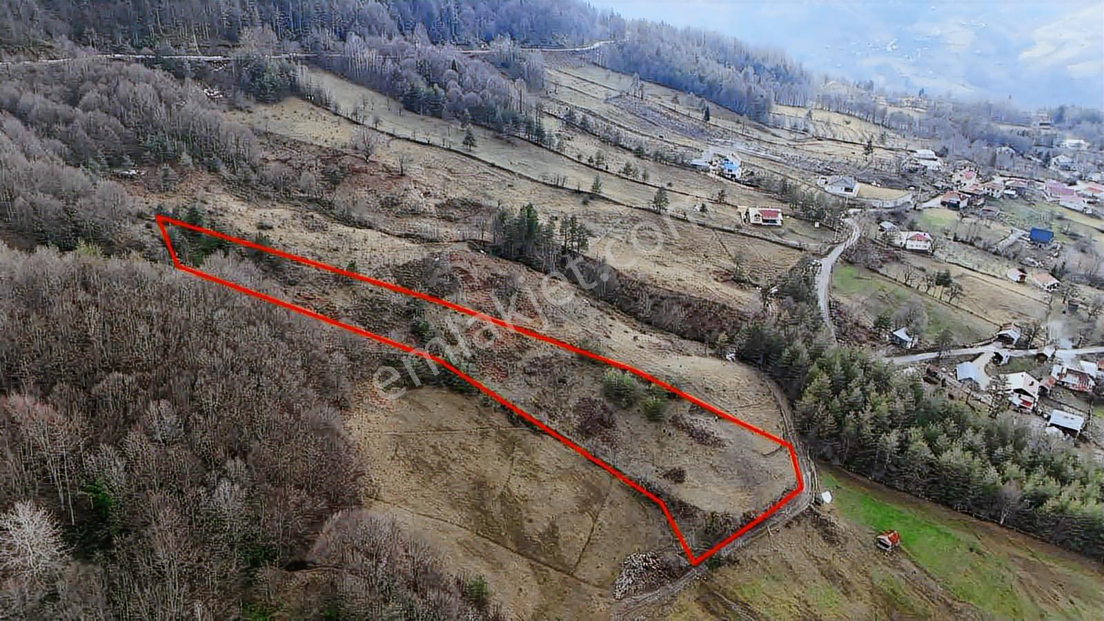 Ruşen Aydın Gyd'dan Kaynaşlı Hacı Azizler Köyünde Satılık Arazi - Görsel 15