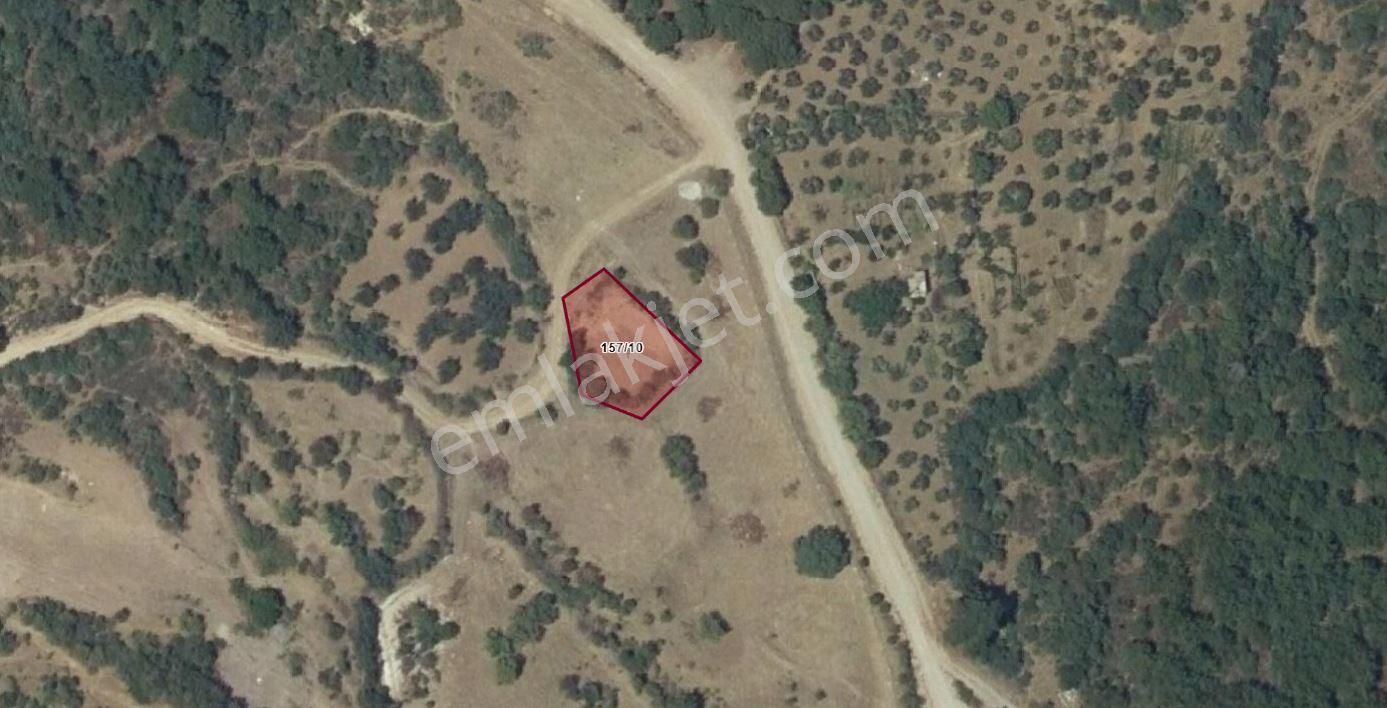 Acil Satılık Balikesir Havran Kocadağ Mah 636.49m2 Zeytinlik - Görsel 2