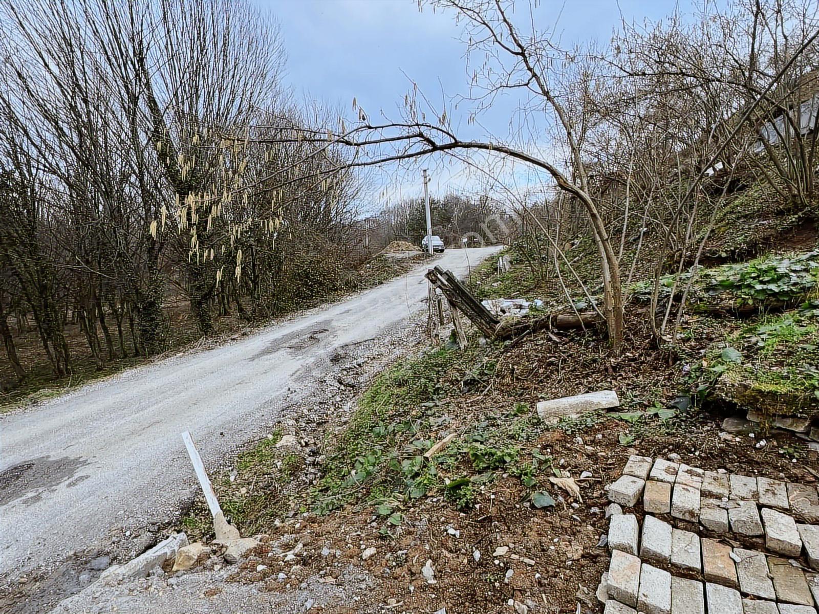 Ruşen Aydın Gyd'dan Kaynaşlı Eskiköy Mahallesinde Satılık Arazi - Görsel 19