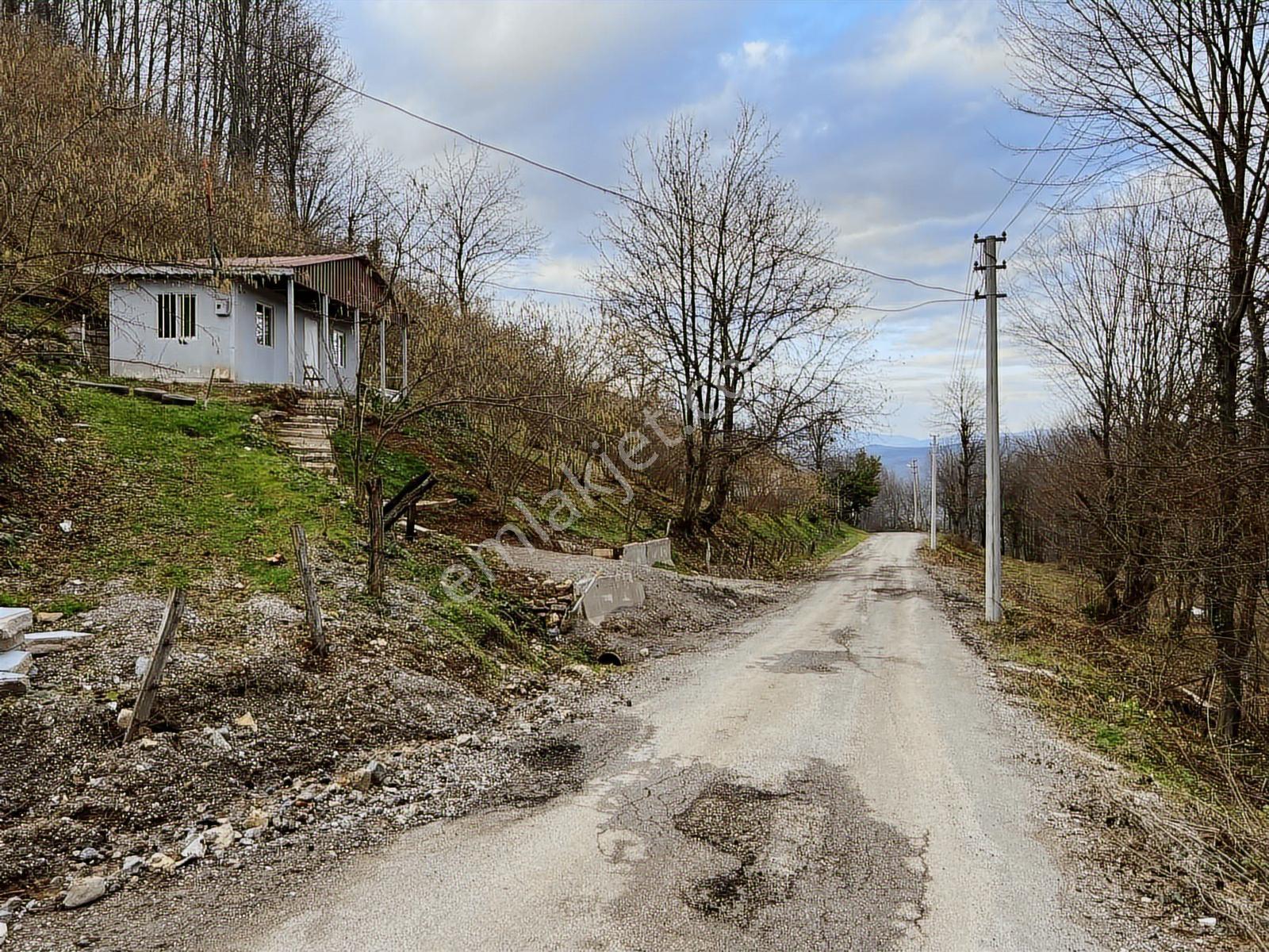 Ruşen Aydın Gyd'dan Kaynaşlı Eskiköy Mahallesinde Satılık Arazi - Görsel 23